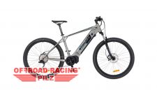 E-Bike 29" EASYBIKE AMPER silber - Elektrofahrrad